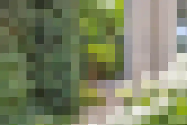 Count Basiegracht 3 Eindhoven thumbnail 42