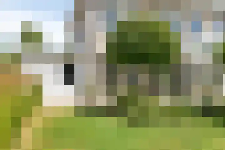 Count Basiegracht 3 Eindhoven thumbnail 52