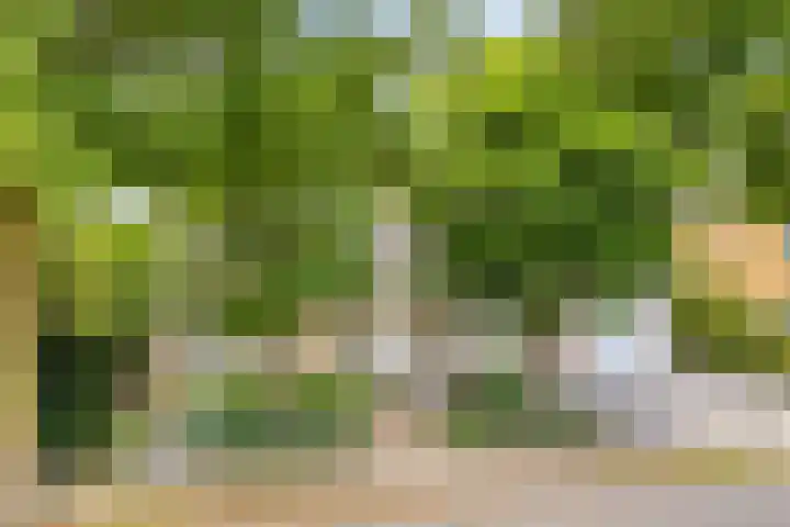 Count Basiegracht 3 Eindhoven thumbnail 56