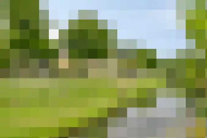 Count Basiegracht 3 Eindhoven thumbnail 60