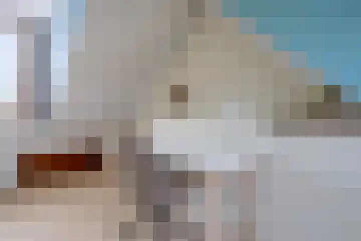 Count Basielaan 4 Beverwijk thumbnail 29