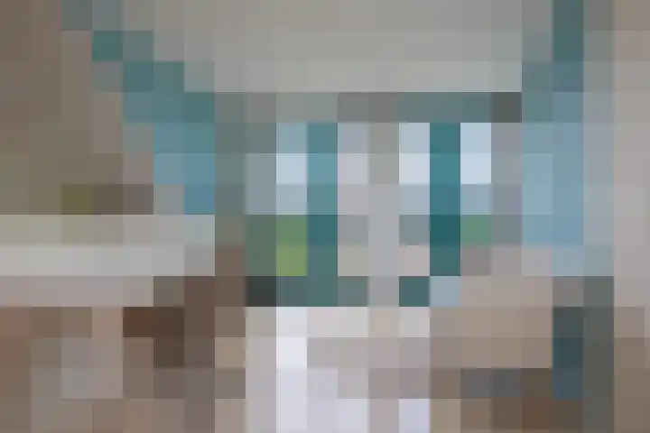 Count Basielaan 4 Beverwijk thumbnail 31