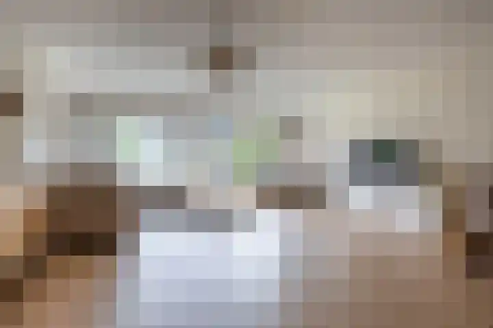 Count Basielaan 4 Beverwijk thumbnail 6