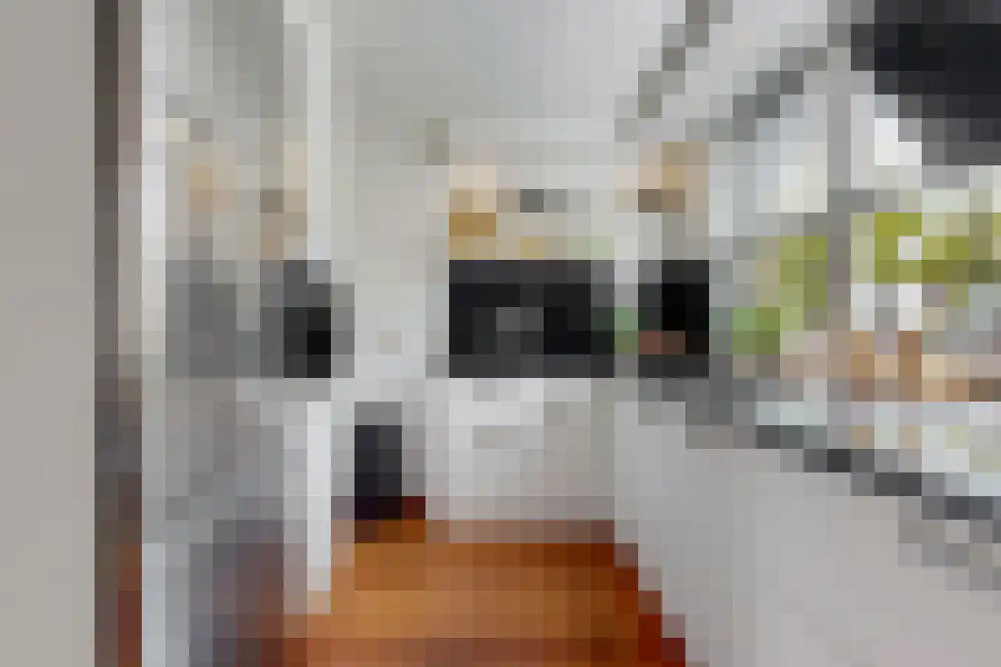 Count Basielaan 40 Beverwijk thumbnail 12