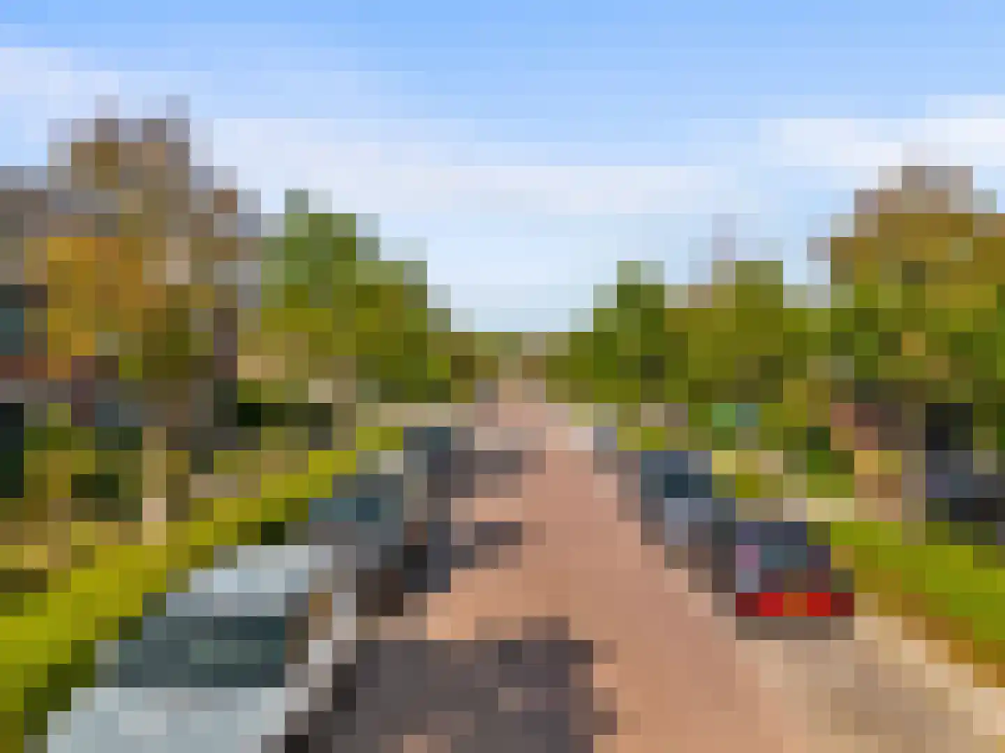 Count Basielaan 40 Beverwijk thumbnail 39