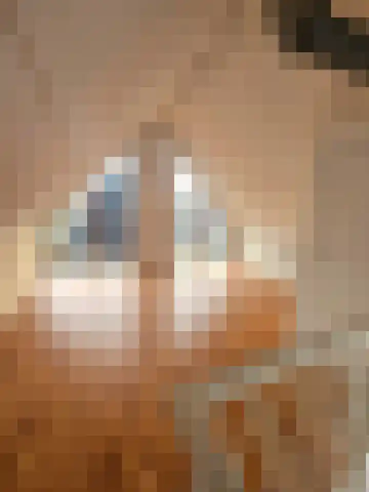 Count Basielaan 44 Beverwijk thumbnail 11