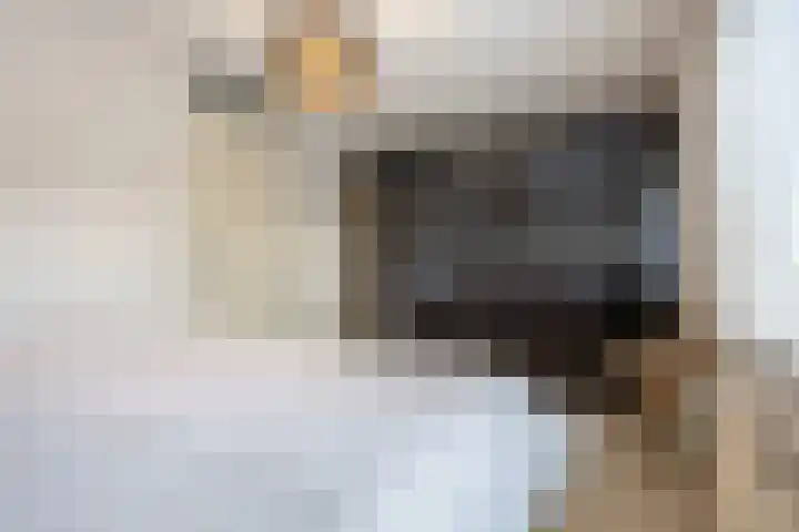 Count Basielaan 51 Beverwijk thumbnail 20