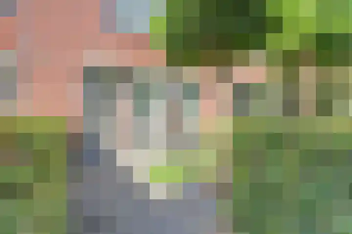 Count Basielaan 7 Beverwijk thumbnail 4