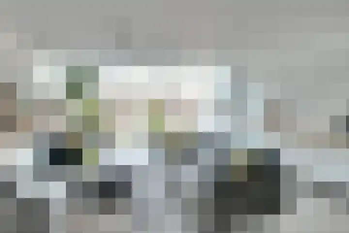 Count Basielaan 7 Beverwijk thumbnail 6