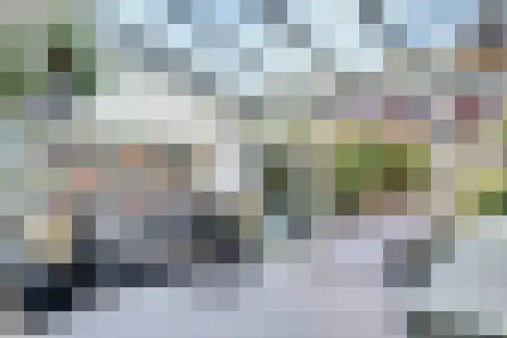 Count Basielaan 7 Beverwijk thumbnail 9