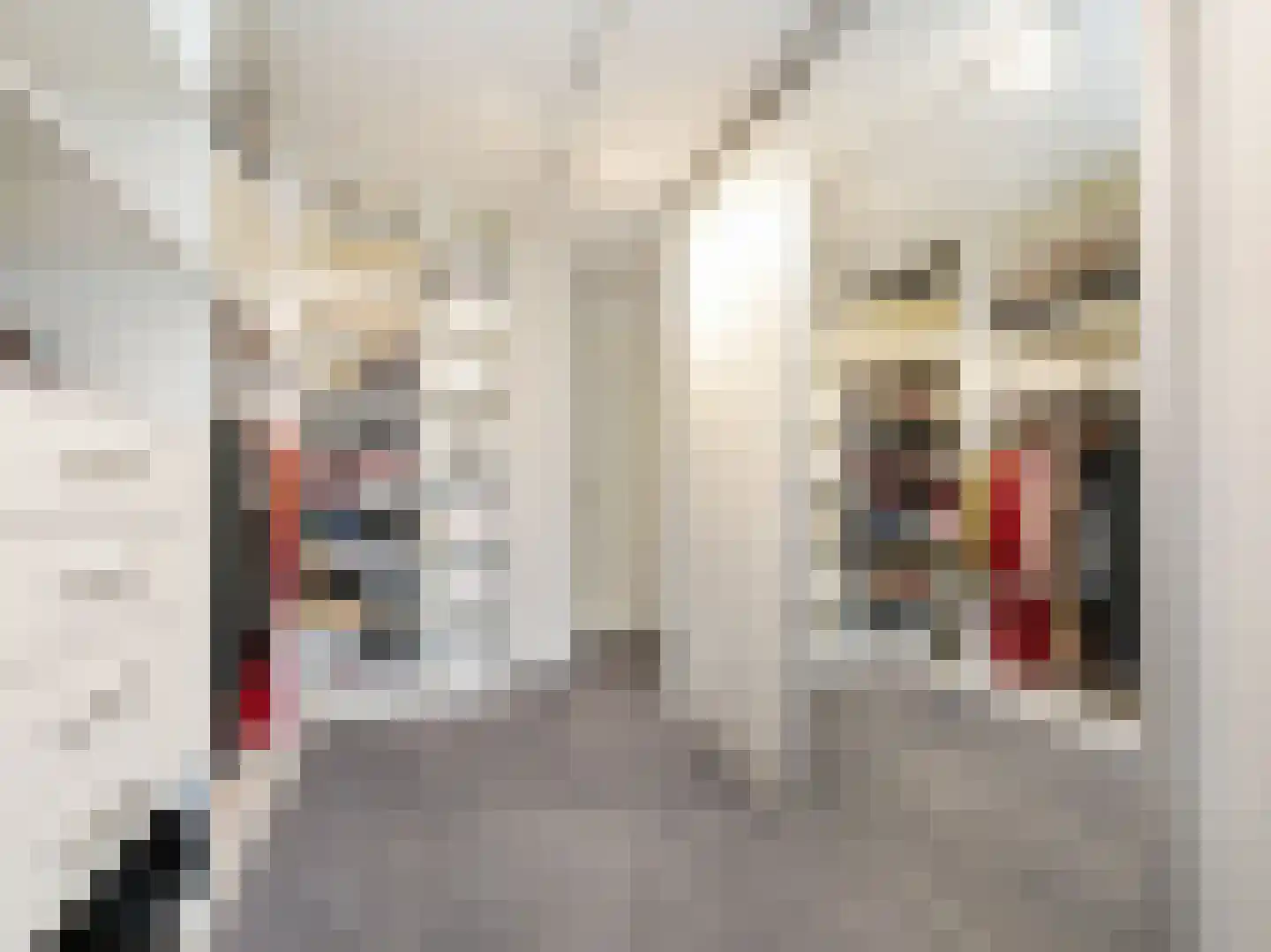 Count Basiestraat 22 Amsterdam thumbnail 43