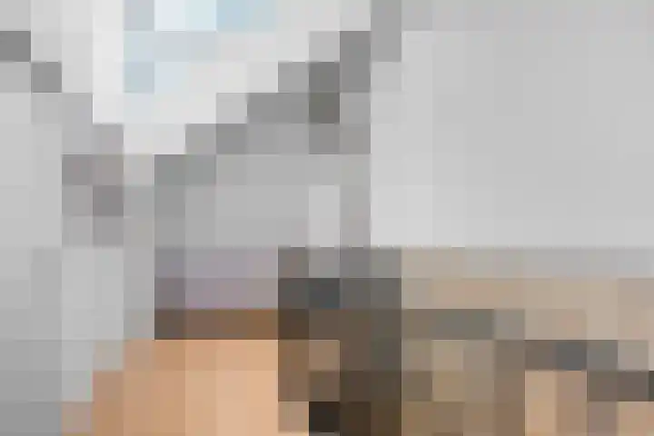 Count Basiestraat 44 Almere thumbnail 38