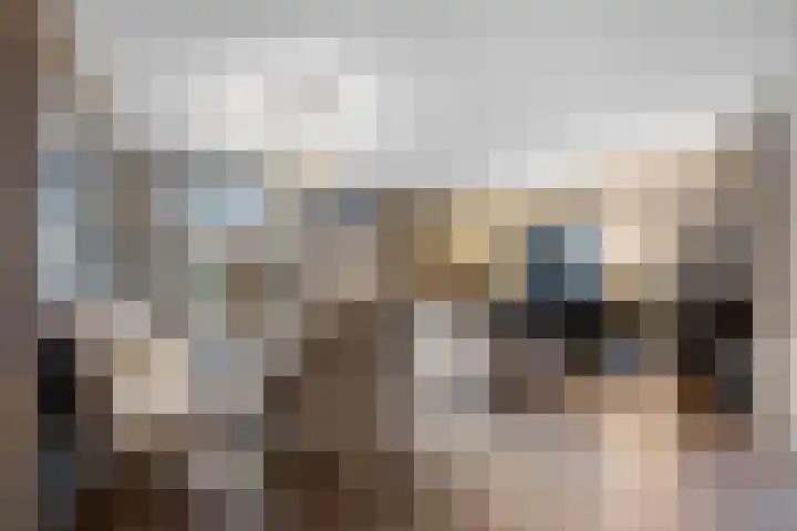 Count Basiestraat 44 Almere thumbnail 4