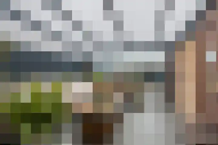Count Basiestraat 44 Almere thumbnail 42