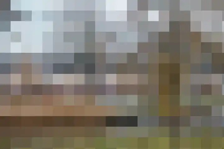 Count Basiestraat 44 Almere thumbnail 45