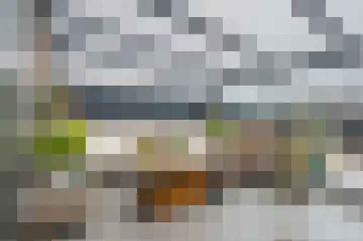 Count Basiestraat 44 Almere thumbnail 7