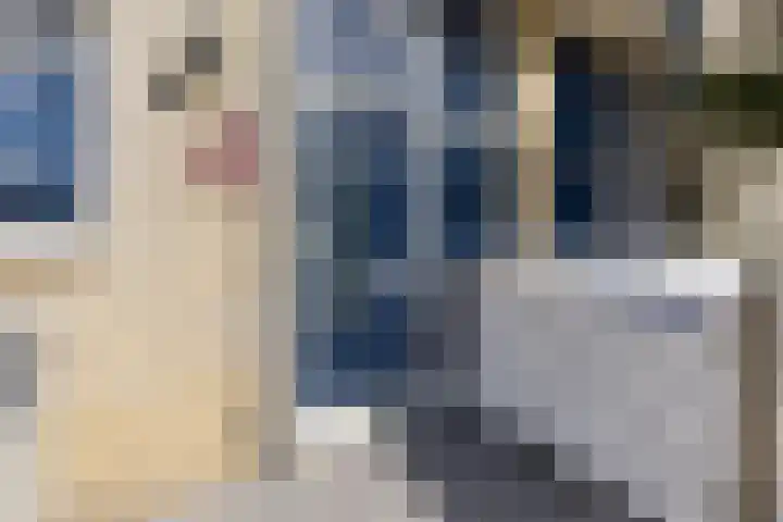 Count Basiestraat 6 Zaandijk thumbnail 11