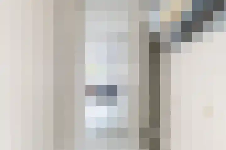 Count Basiestraat 6 Zaandijk thumbnail 13