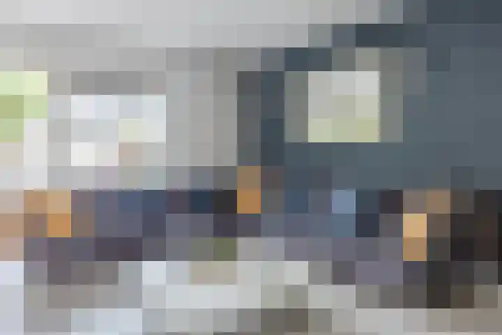 Count Basiestraat 6 Zaandijk thumbnail 17
