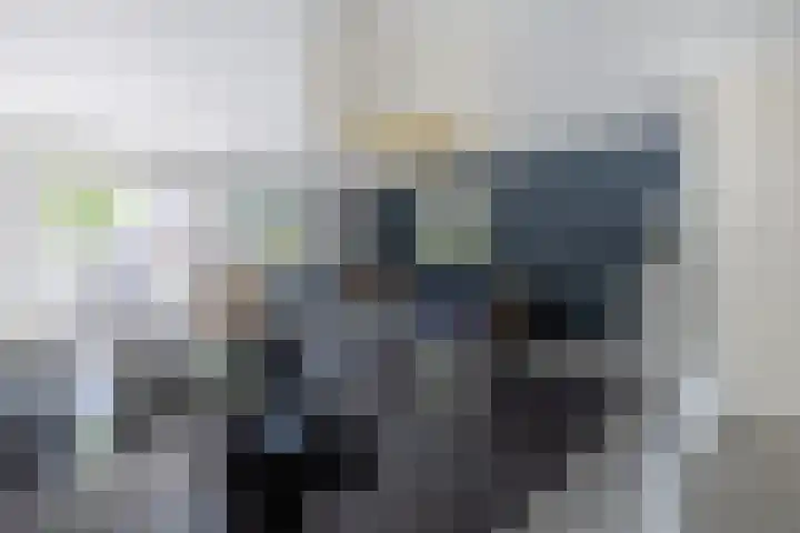 Count Basiestraat 6 Zaandijk thumbnail 21