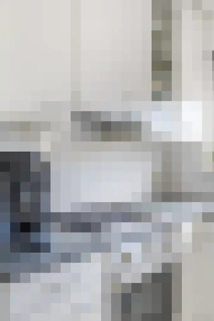 Count Basiestraat 6 Zaandijk thumbnail 22