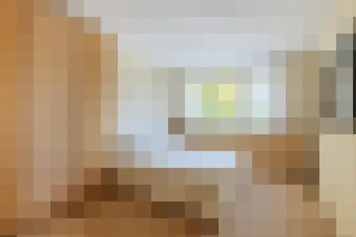 Count Basiestraat 6 Zaandijk thumbnail 25