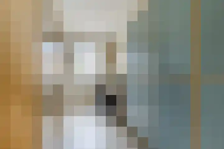 Count Basiestraat 6 Zaandijk thumbnail 27