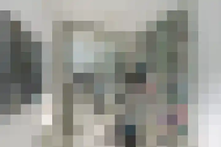 Count Basiestraat 6 Zaandijk thumbnail 30
