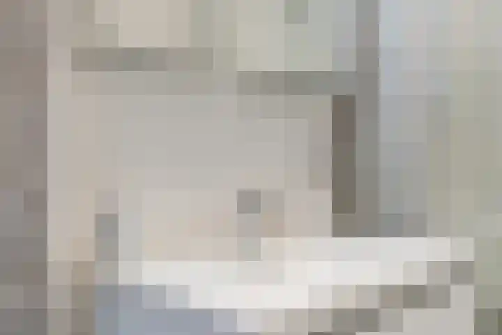 Count Basiestraat 6 Zaandijk thumbnail 31