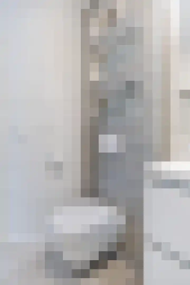 Count Basiestraat 6 Zaandijk thumbnail 33