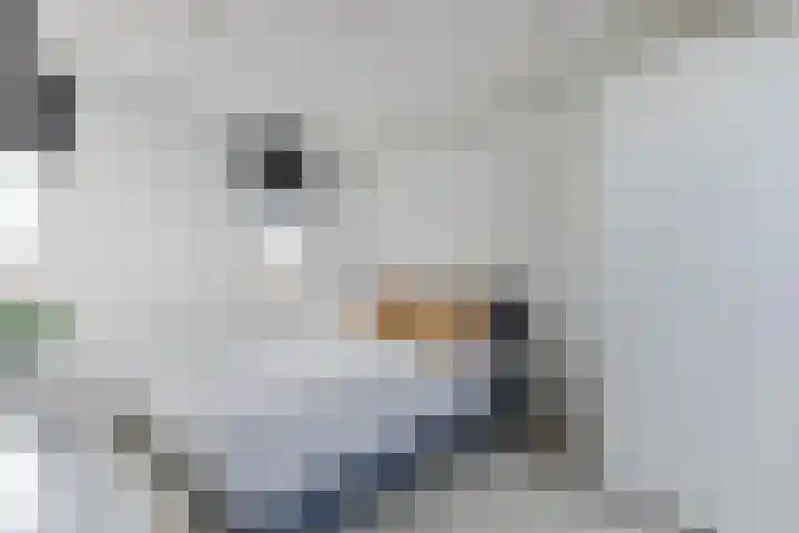 Count Basiestraat 6 Zaandijk thumbnail 36