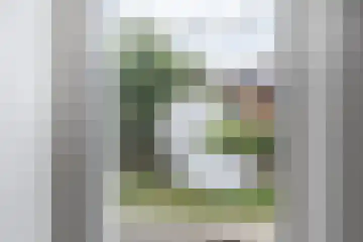 Count Basiestraat 6 Zaandijk thumbnail 38