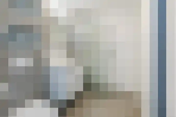 Count Basiestraat 6 Zaandijk thumbnail 4
