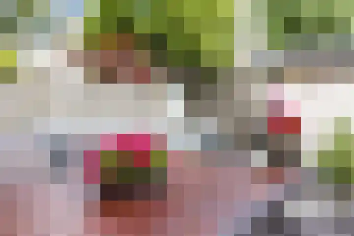 Count Basiestraat 6 Zaandijk thumbnail 42