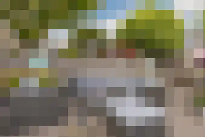 Count Basiestraat 6 Zaandijk thumbnail 43