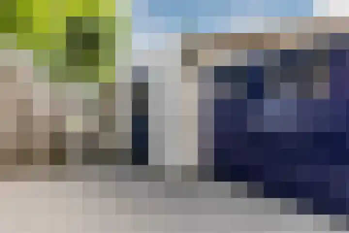 Count Basiestraat 6 Zaandijk thumbnail 46