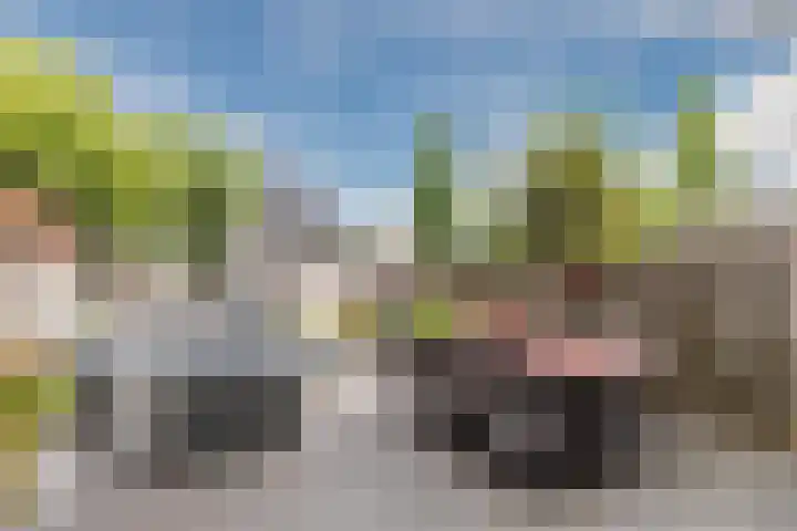 Count Basiestraat 6 Zaandijk thumbnail 5