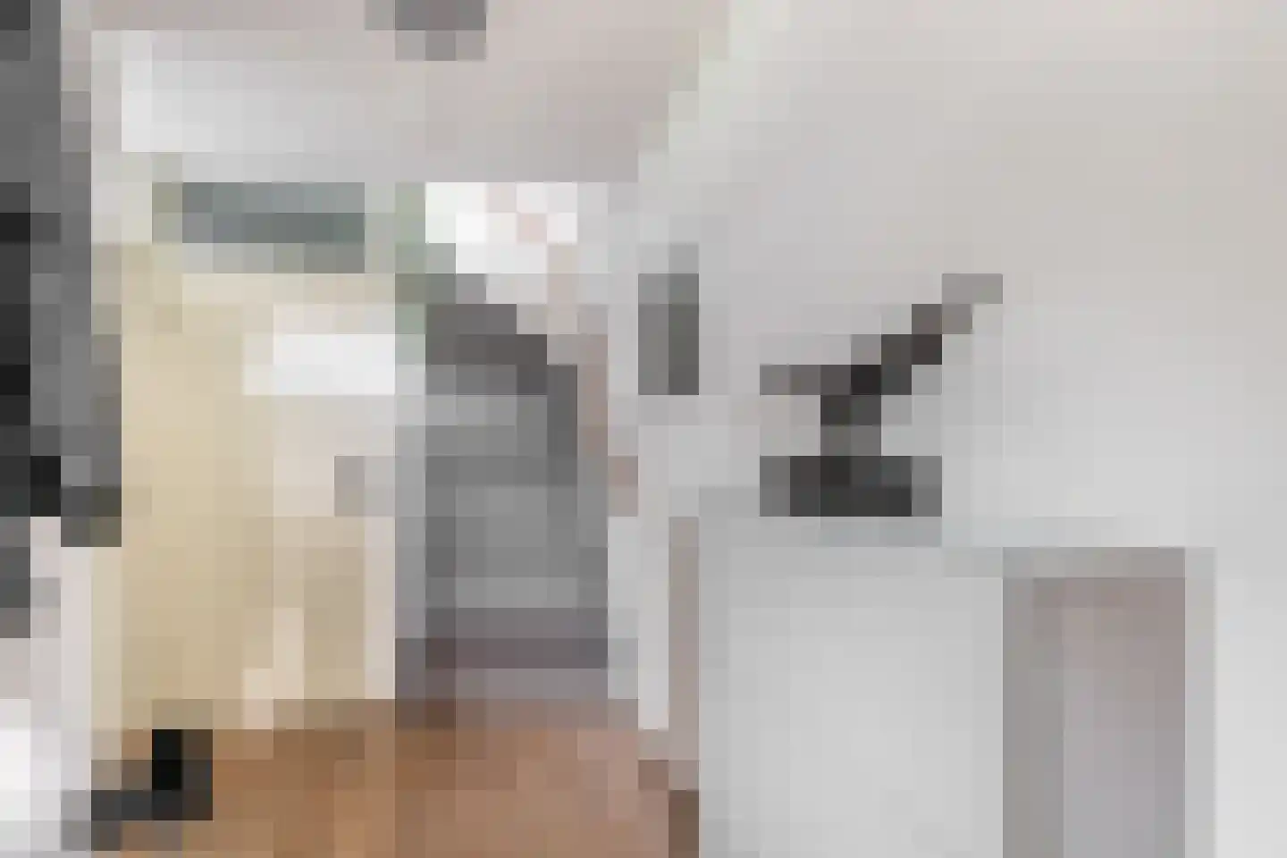 Couperinstraat 1 Capelle aan den IJssel thumbnail 11