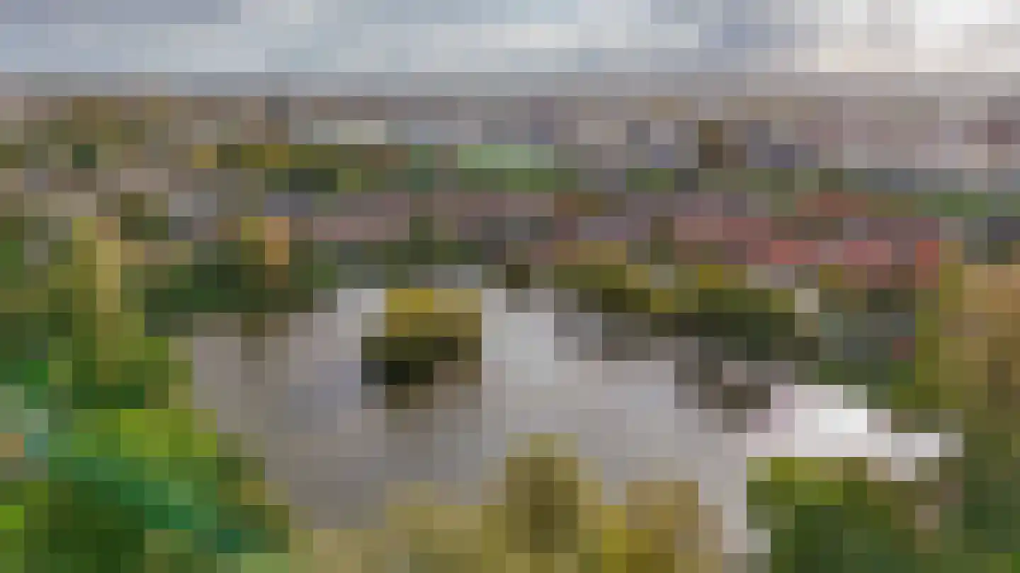 Couperinstraat 1 Capelle aan den IJssel thumbnail 41