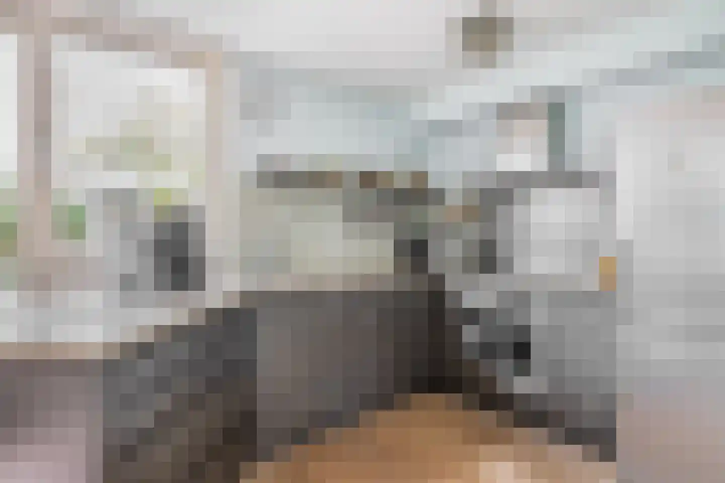 Couperinstraat 1 Capelle aan den IJssel thumbnail 8