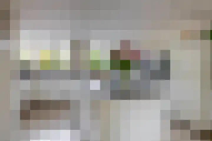 Couperinstraat 14 Capelle aan den IJssel thumbnail 14
