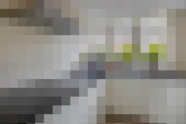 Couperinstraat 14 Capelle aan den IJssel thumbnail 17