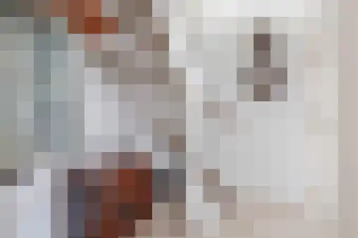Couperinstraat 14 Capelle aan den IJssel thumbnail 20