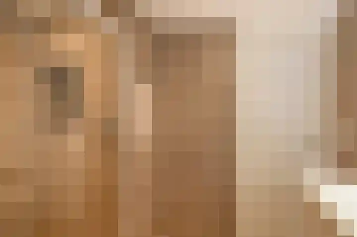 Couperinstraat 14 Capelle aan den IJssel thumbnail 29