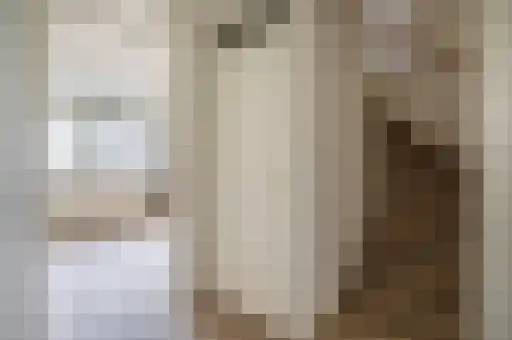 Couperinstraat 14 Capelle aan den IJssel thumbnail 30