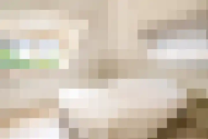 Couperinstraat 14 Capelle aan den IJssel thumbnail 34