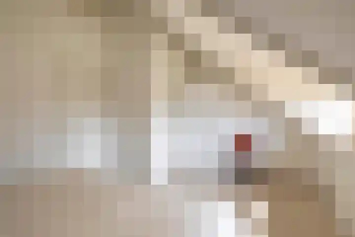 Couperinstraat 14 Capelle aan den IJssel thumbnail 35