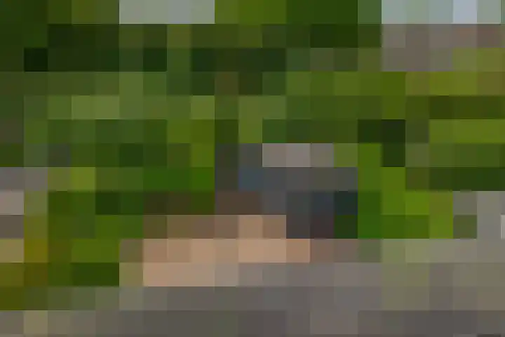 Couperinstraat 14 Capelle aan den IJssel thumbnail 36