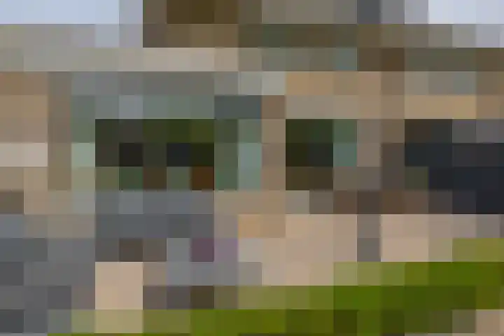 Couperinstraat 14 Capelle aan den IJssel thumbnail 4