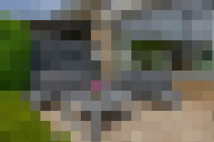 Couperinstraat 14 Capelle aan den IJssel thumbnail 42